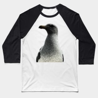 Petrified Seagull Baseball T-Shirt